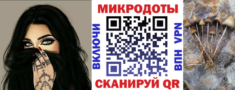 Галлюциногенные грибы Psilocybine cubensis Лабинск