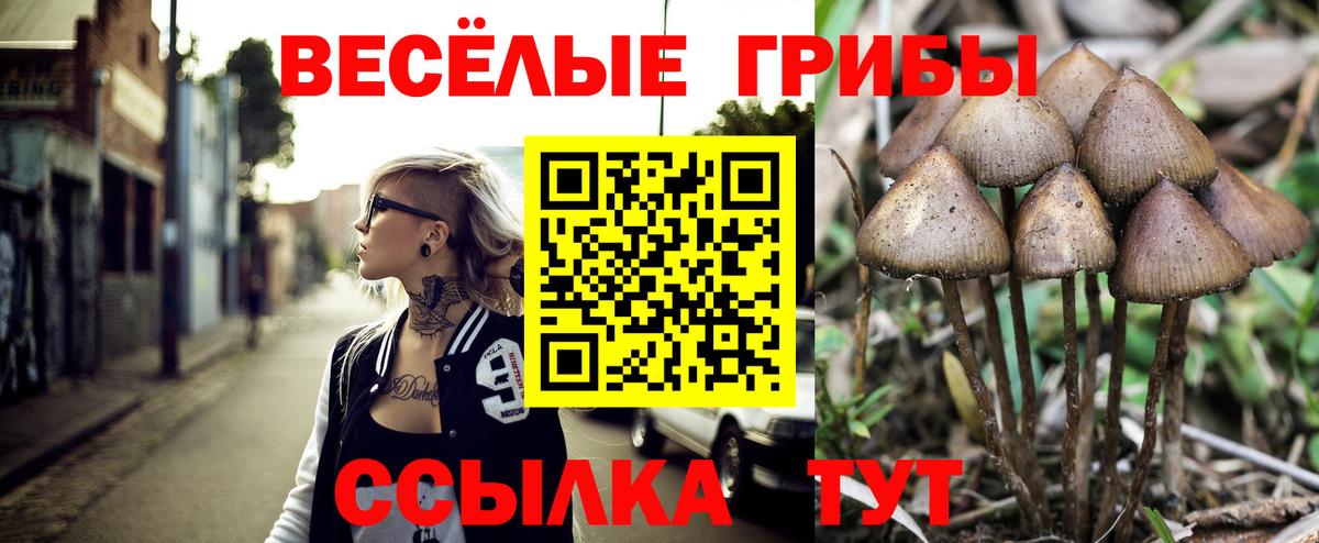 магазин    Псилоцибиновые грибы Psilocybe  Вход с VPN  Лабинск 
